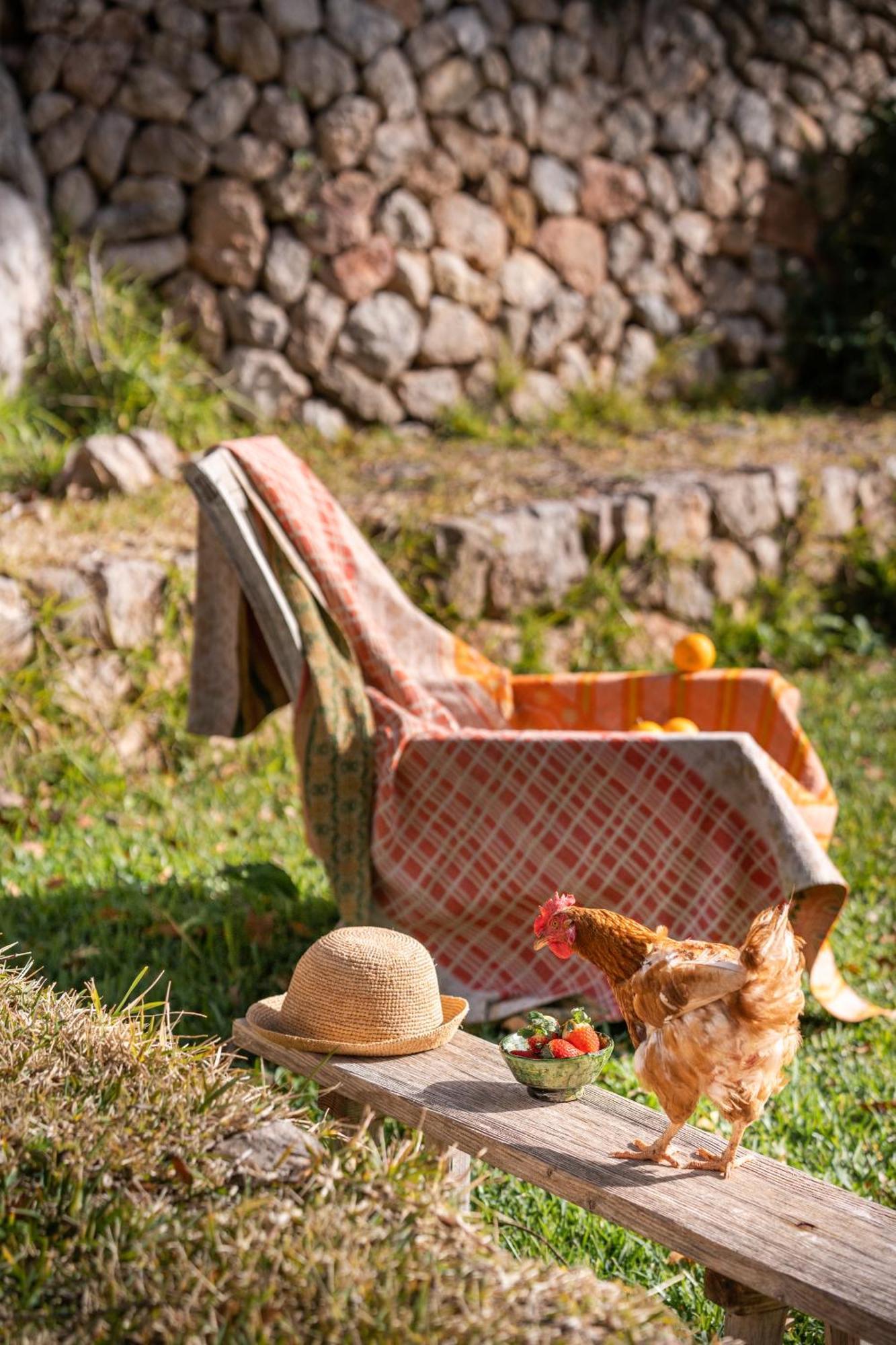 Agroturismo Son Viscos Valldemossa  Dış mekan fotoğraf