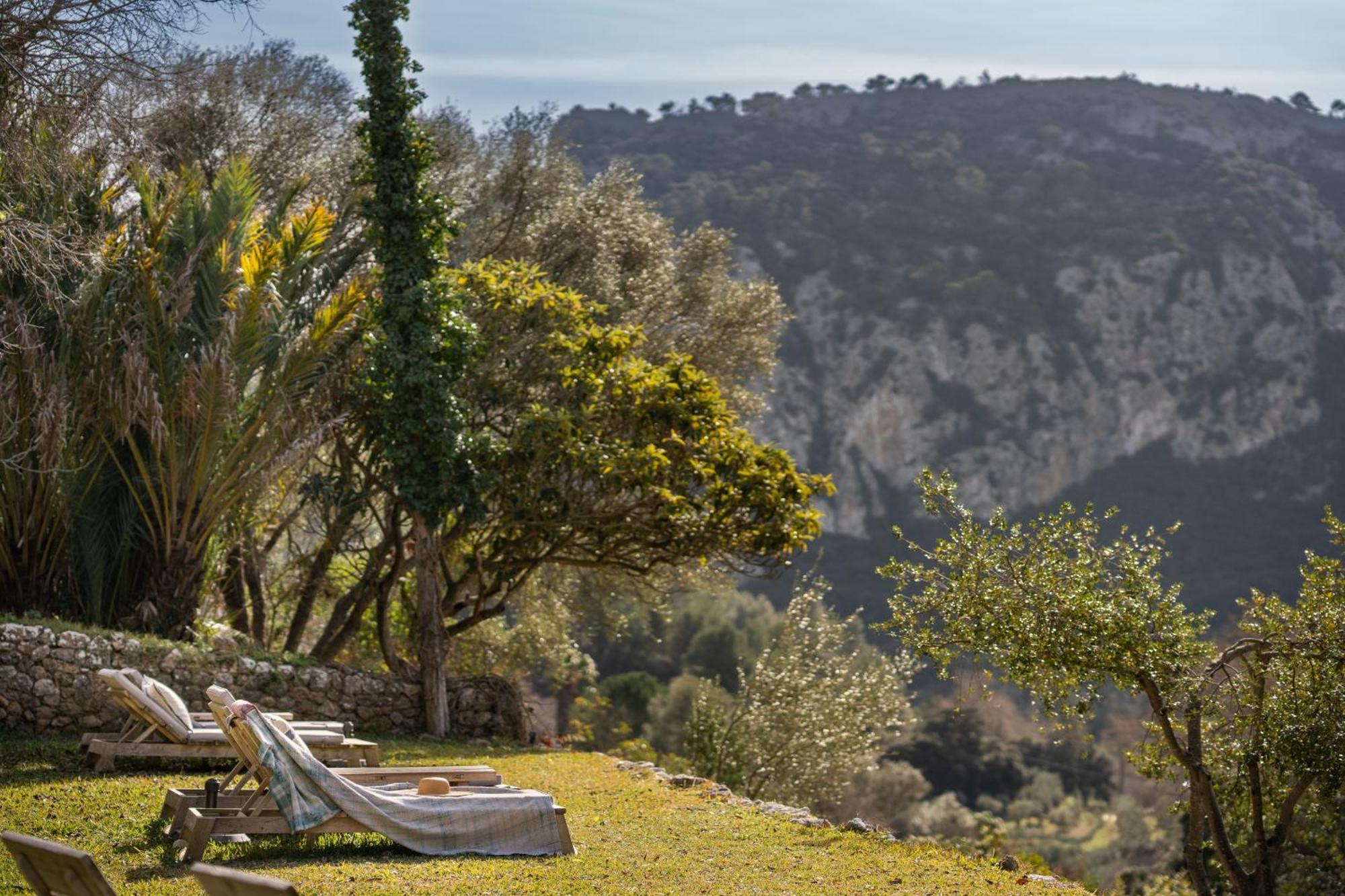 Agroturismo Son Viscos Valldemossa  Dış mekan fotoğraf